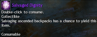 MMOJUGG Guild Wars 2 US Salvaged Dignity Details View of Item Function and Use